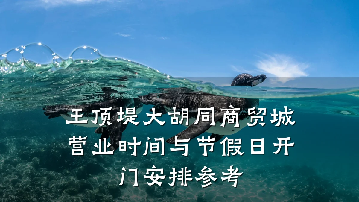 王顶堤大胡同商贸城营业时间与节假日开门安排参考