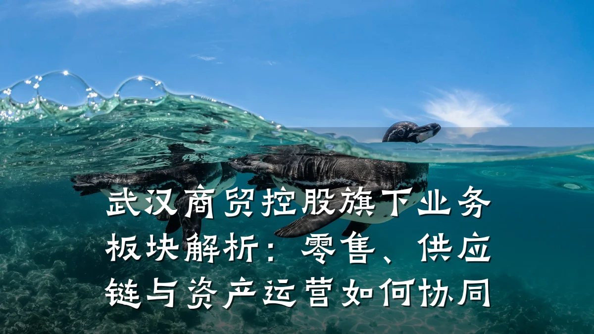 武汉商贸控股旗下业务板块解析：零售、供应链与资产运营如何协同