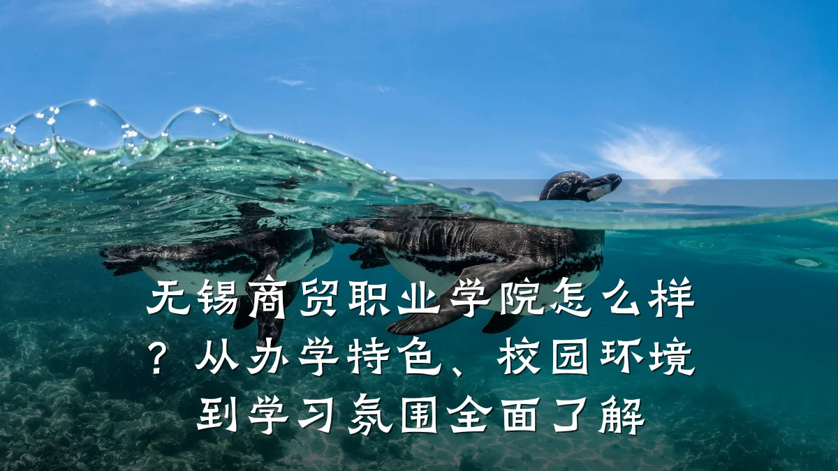 无锡商贸职业学院怎么样?从办学特色、校园环境到学习氛围全面了解