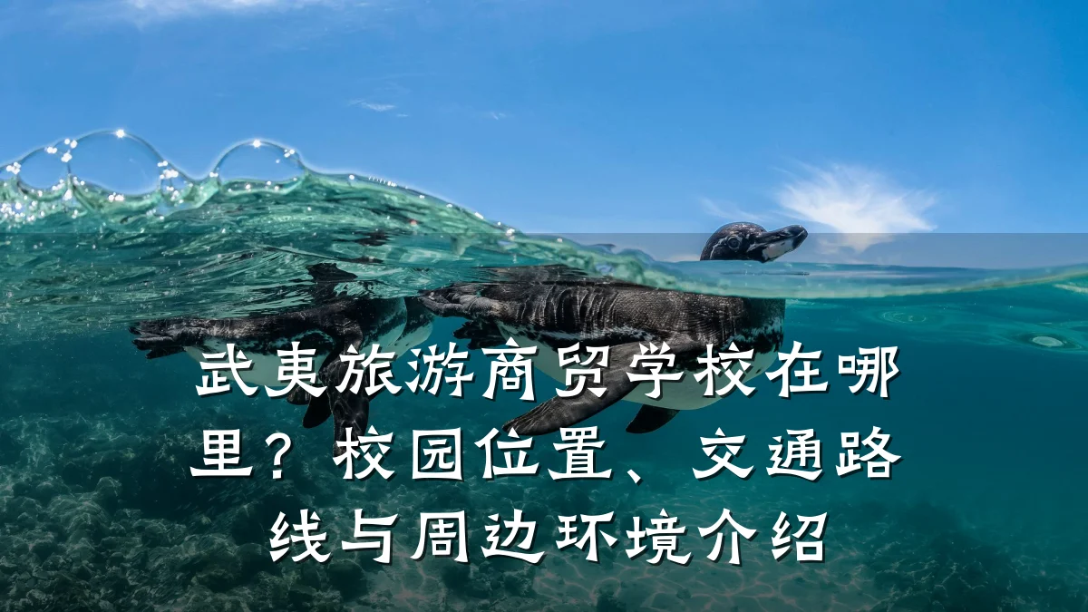 武夷旅游商贸学校在哪里?校园位置、交通路线与周边环境介绍