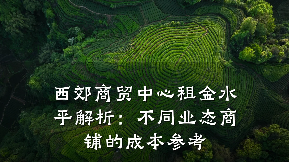 西郊商贸中心租金水平解析:不同业态商铺的成本参考