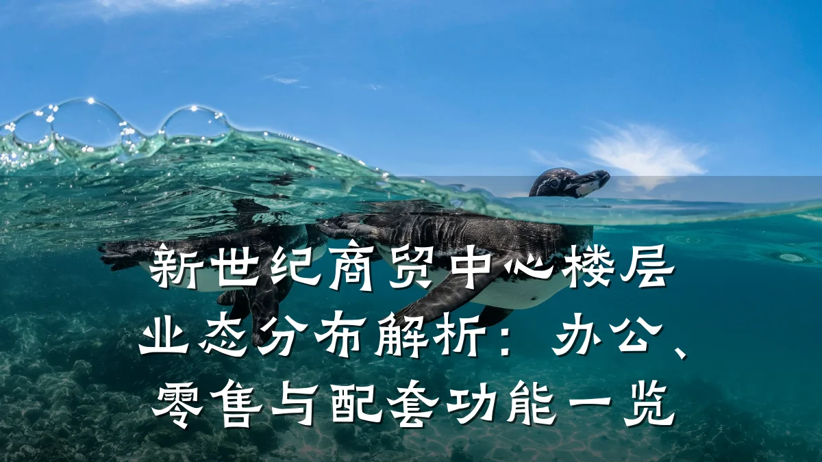 新世纪商贸中心楼层业态分布解析：办公、零售与配套功能一览