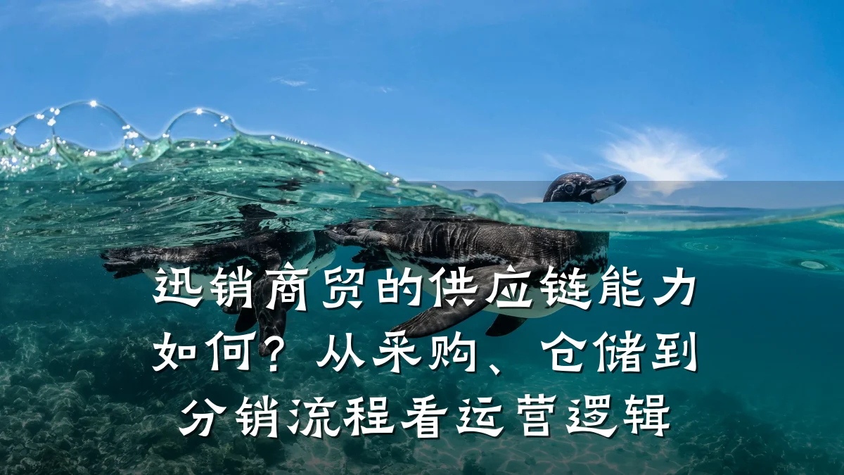 迅销商贸的供应链能力如何?从采购、仓储到分销流程看运营逻辑