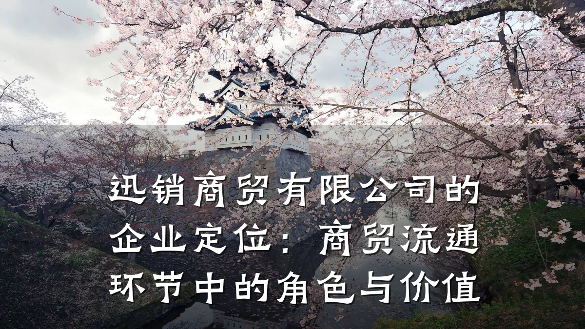 迅销商贸有限公司的企业定位：商贸流通环节中的角色与价值