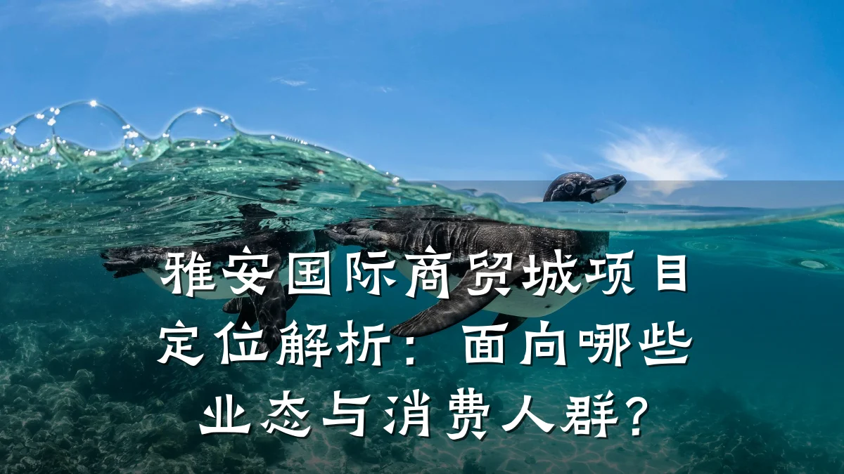 雅安国际商贸城项目定位解析:面向哪些业态与消费人群?