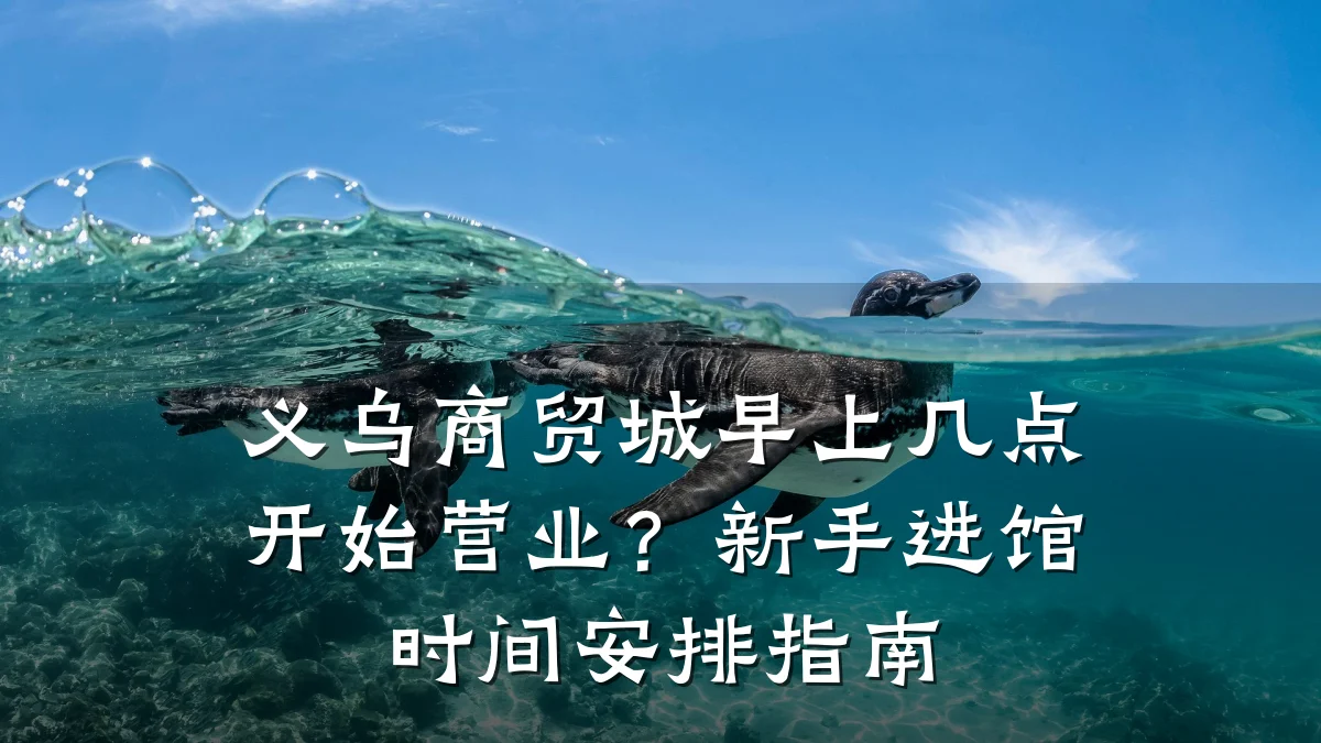 义乌商贸城早上几点开始营业?新手进馆时间安排指南
