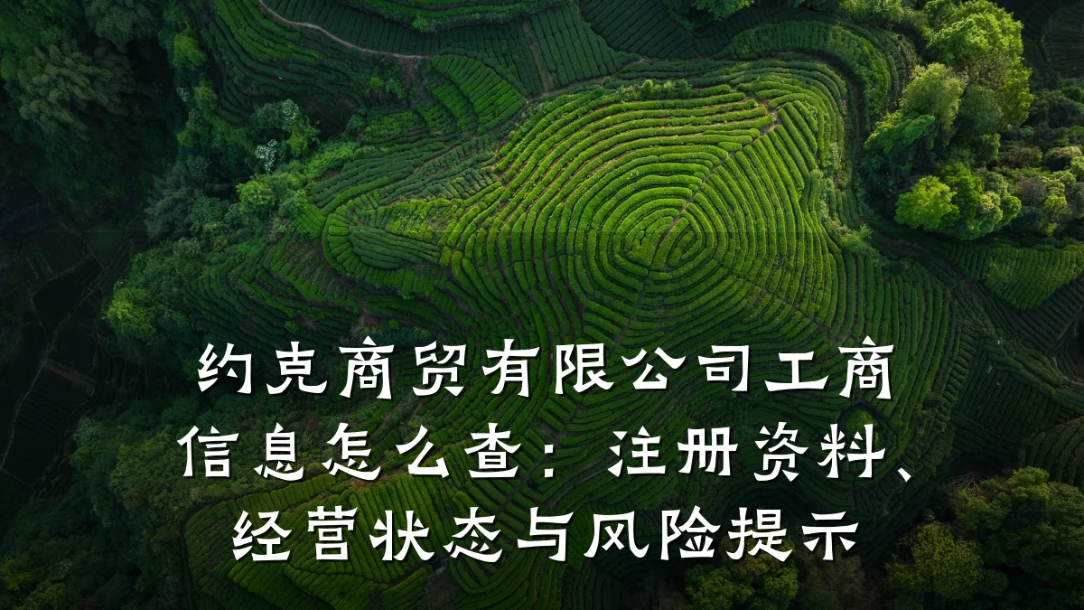 约克商贸有限公司工商信息怎么查:注册资料、经营状态与风险提示