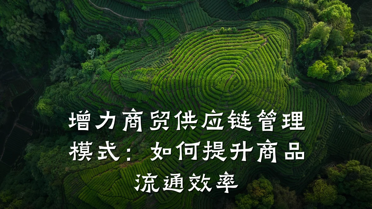 增力商贸供应链管理模式：如何提升商品流通效率