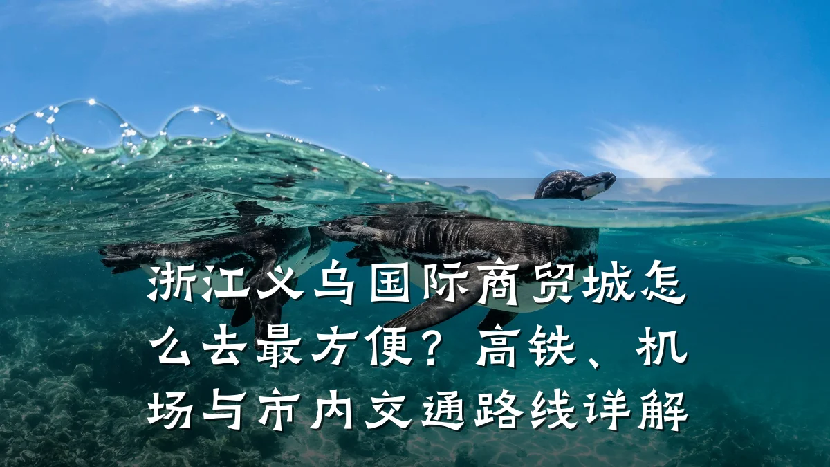 浙江义乌国际商贸城怎么去最方便?高铁、机场与市内交通路线详解