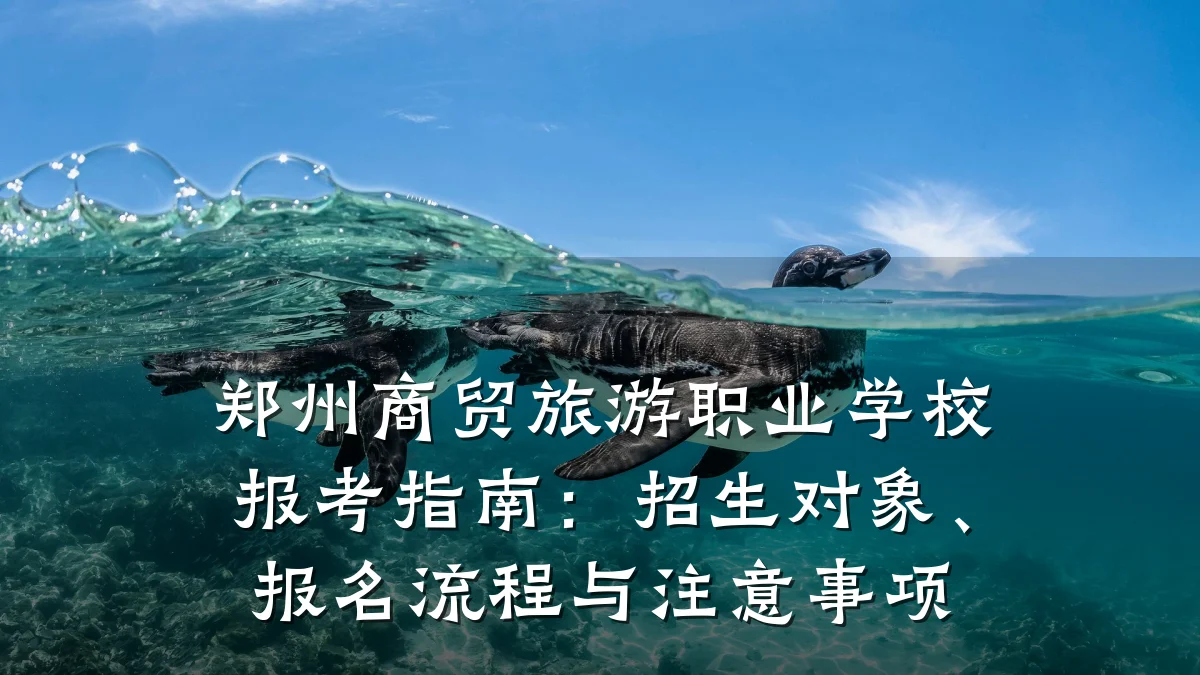 郑州商贸旅游职业学校报考指南:招生对象、报名流程与注意事项