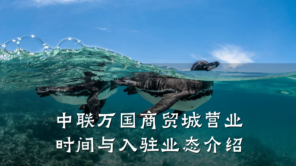 中联万国商贸城营业时间与入驻业态介绍