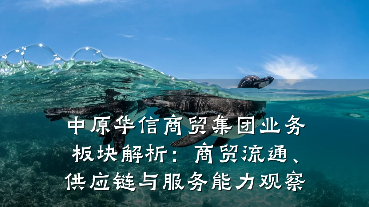中原华信商贸集团业务板块解析:商贸流通、供应链与服务能力观察