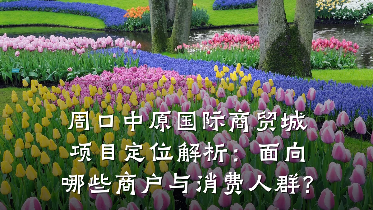 周口中原国际商贸城项目定位解析:面向哪些商户与消费人群?