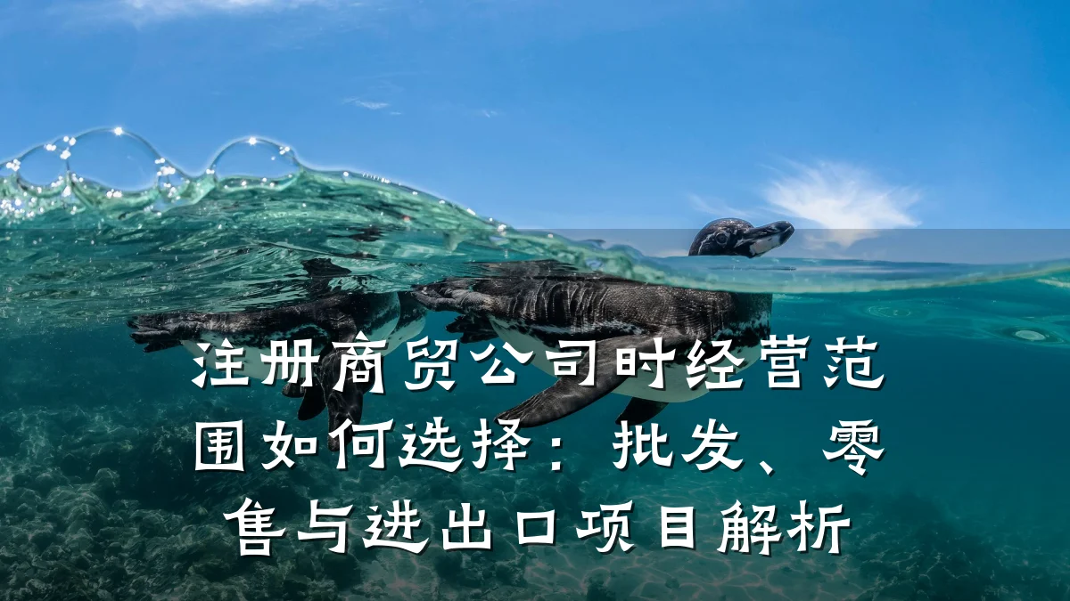 注册商贸公司时经营范围如何选择:批发、零售与进出口项目解析
