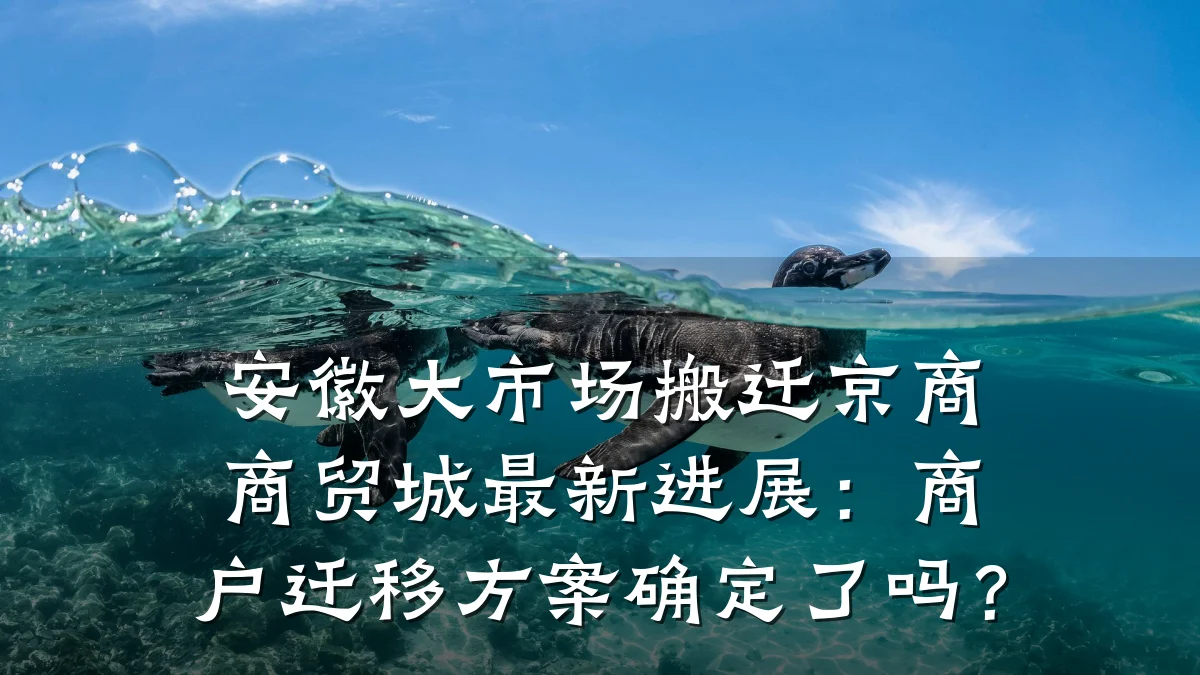 安徽大市场搬迁京商商贸城最新进展:商户迁移方案确定了吗?