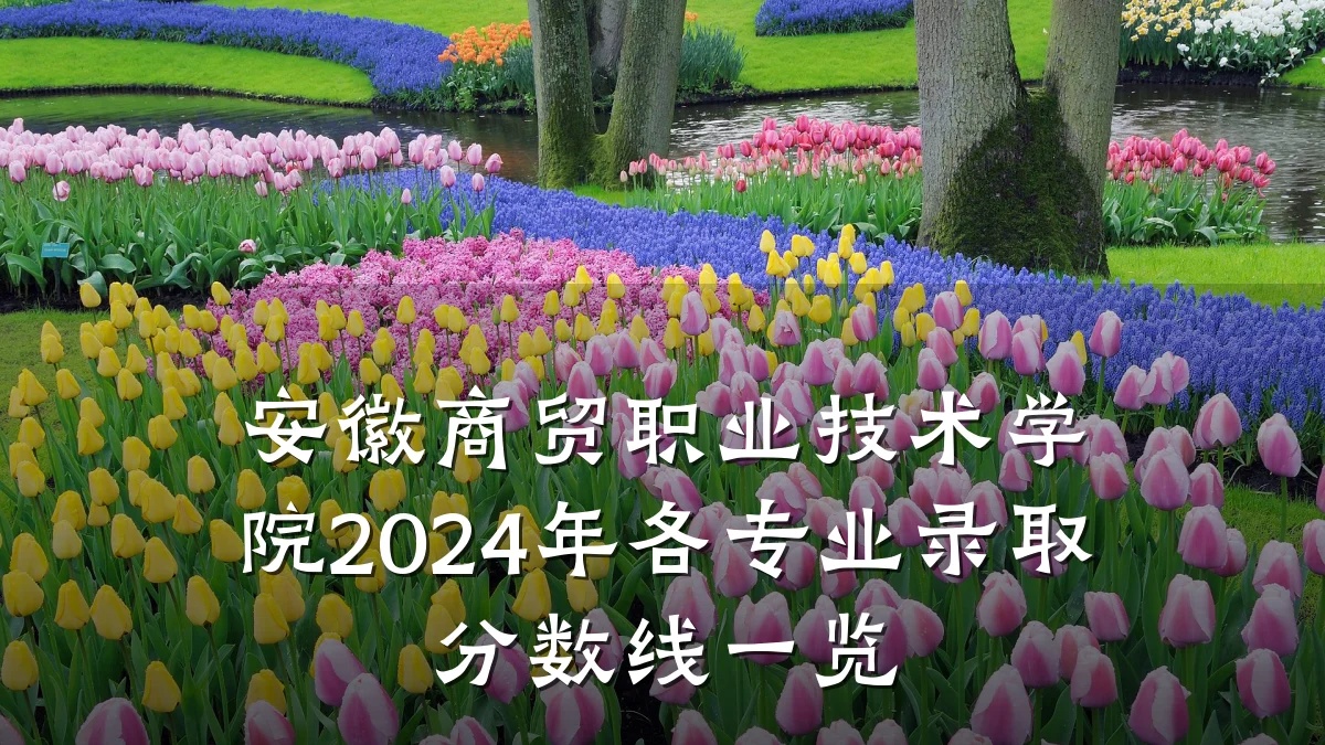 安徽商贸职业技术学院2024年各专业录取分数线一览