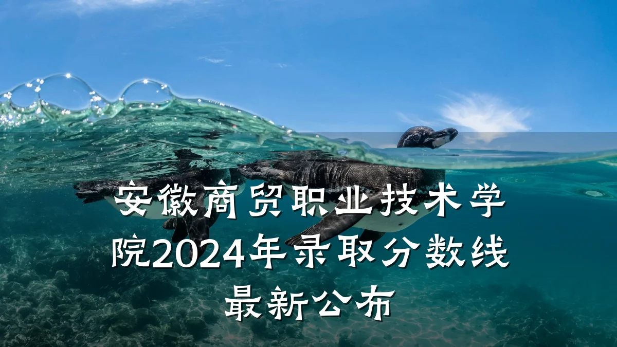 安徽商贸职业技术学院2024年录取分数线最新公布