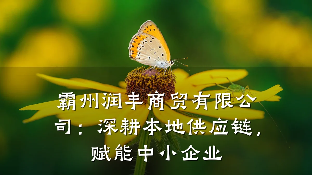 霸州润丰商贸有限公司:深耕本地供应链,赋能中小企业