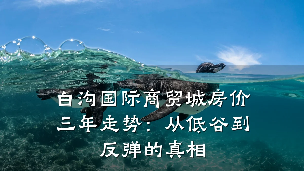 白沟国际商贸城房价三年走势：从低谷到反弹的真相