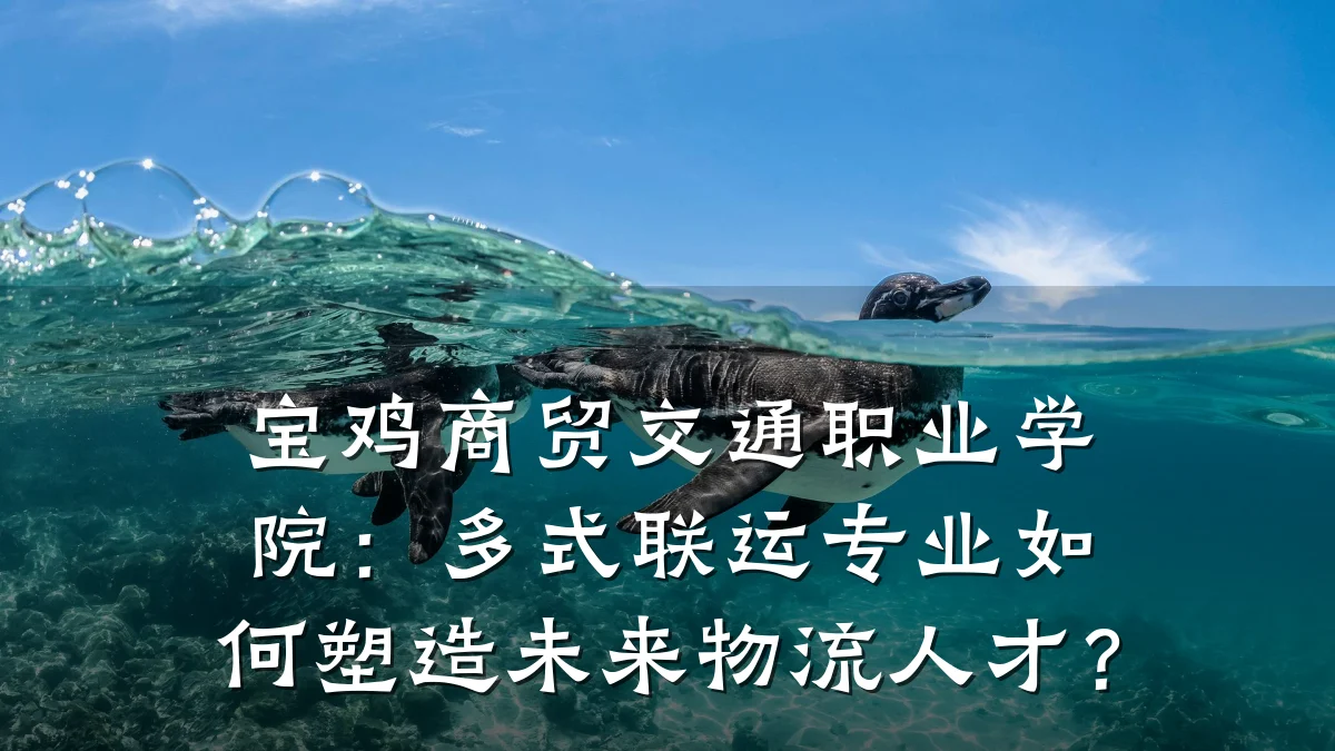 宝鸡商贸交通职业学院:多式联运专业如何塑造未来物流人才?