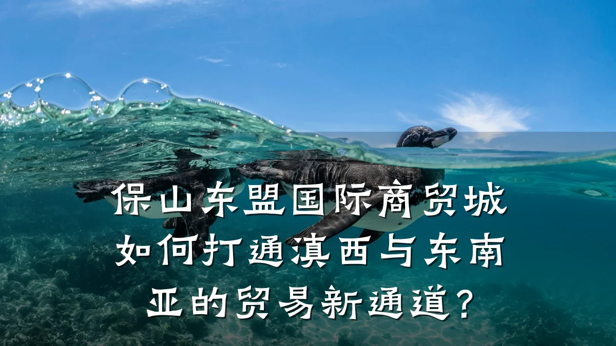 保山东盟国际商贸城如何打通滇西与东南亚的贸易新通道?