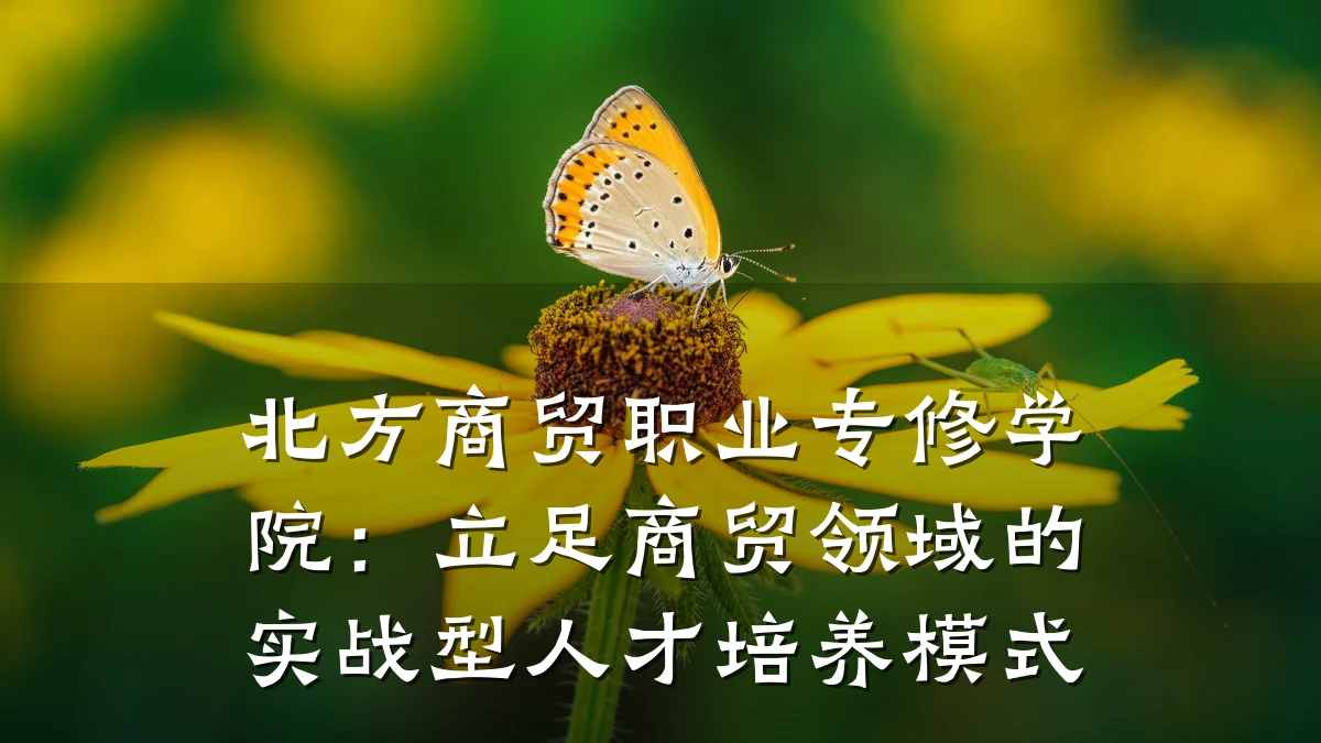 北方商贸职业专修学院:立足商贸领域的实战型人才培养模式