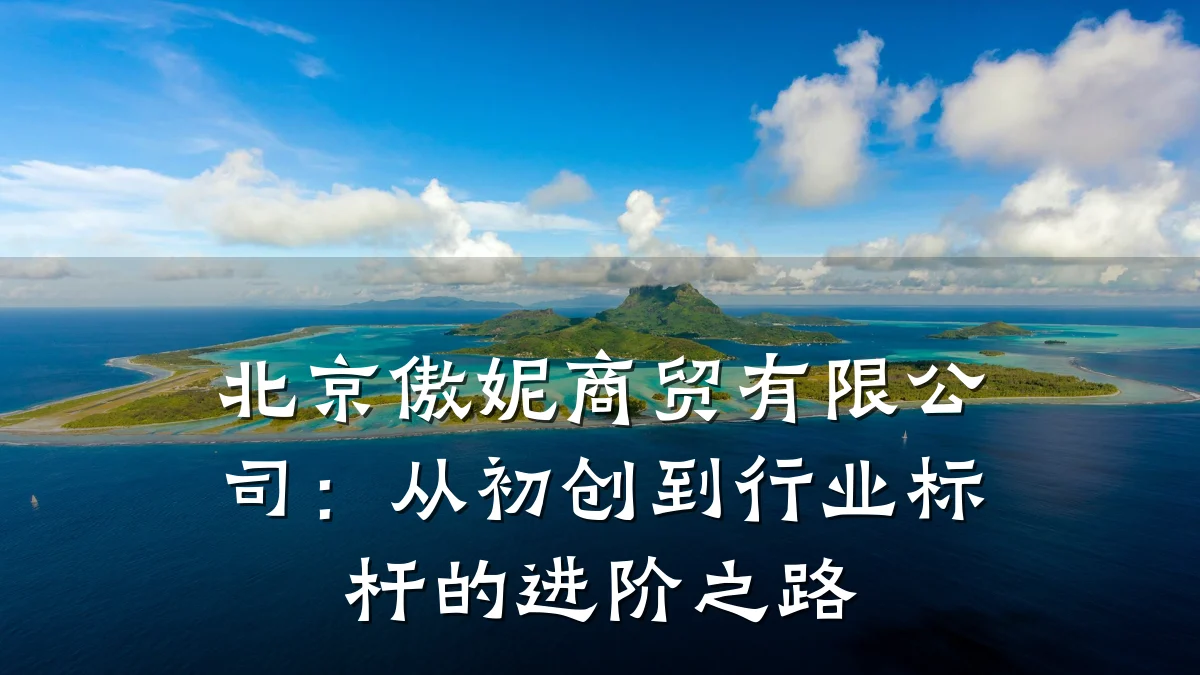 北京傲妮商贸有限公司:从初创到行业标杆的进阶之路