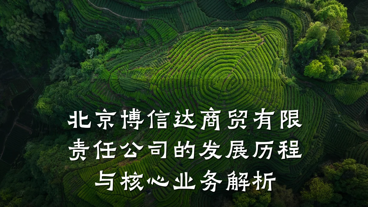 北京博信达商贸有限责任公司的发展历程与核心业务解析