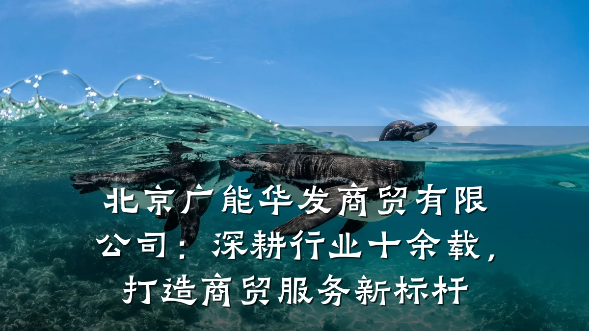 北京广能华发商贸有限公司:深耕行业十余载,打造商贸服务新标杆