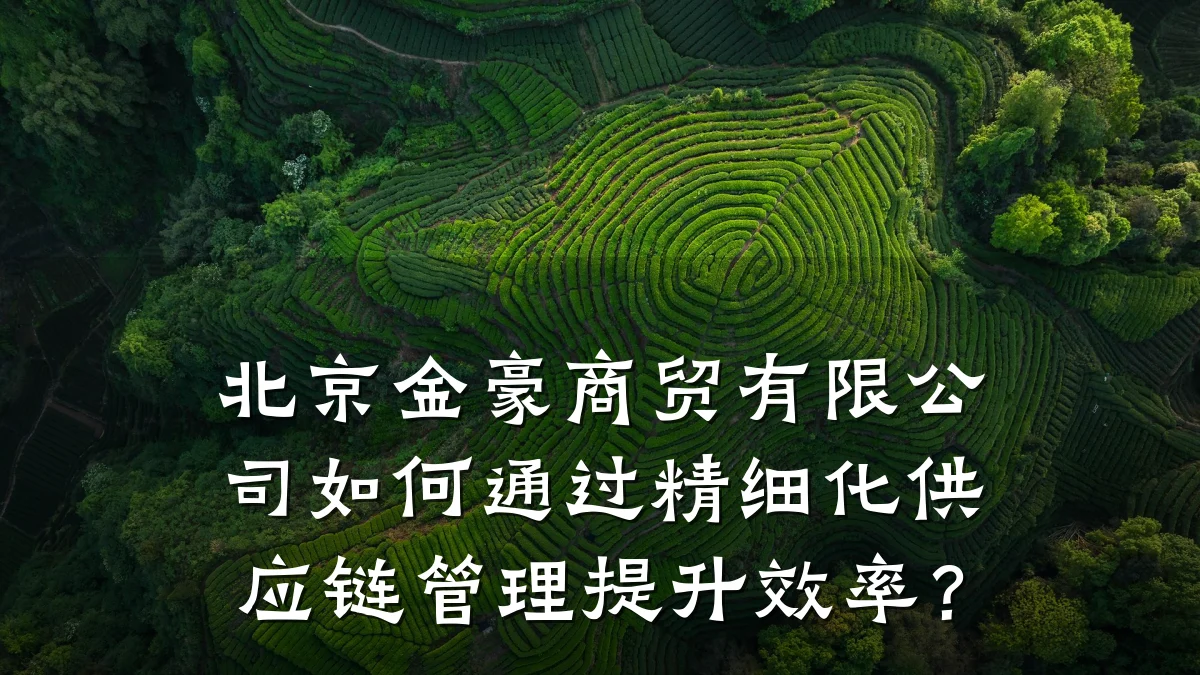 北京金豪商贸有限公司如何通过精细化供应链管理提升效率?