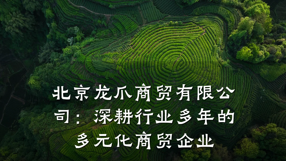 北京龙爪商贸有限公司：深耕行业多年的多元化商贸企业