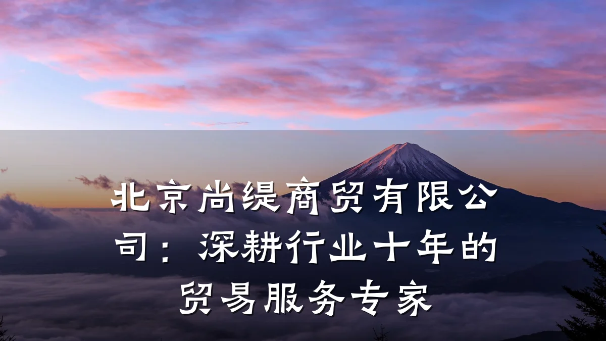 北京尚缇商贸有限公司:深耕行业十年的贸易服务专家