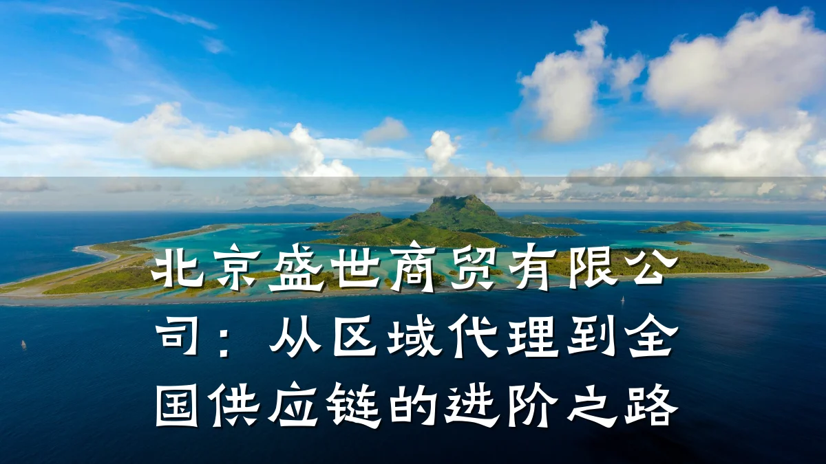 北京盛世商贸有限公司：从区域代理到全国供应链的进阶之路