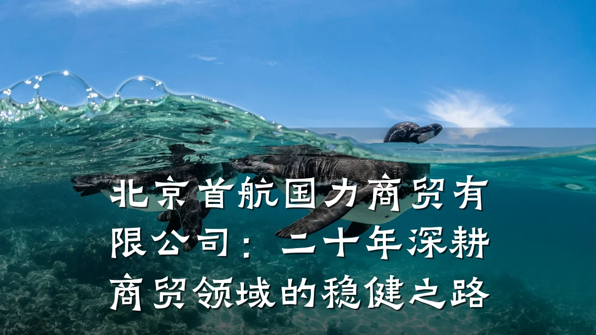 北京首航国力商贸有限公司：二十年深耕商贸领域的稳健之路