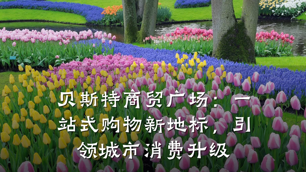 贝斯特商贸广场:一站式购物新地标,引领城市消费升级