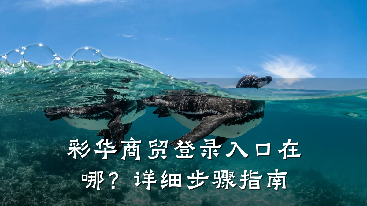彩华商贸登录入口在哪?详细步骤指南