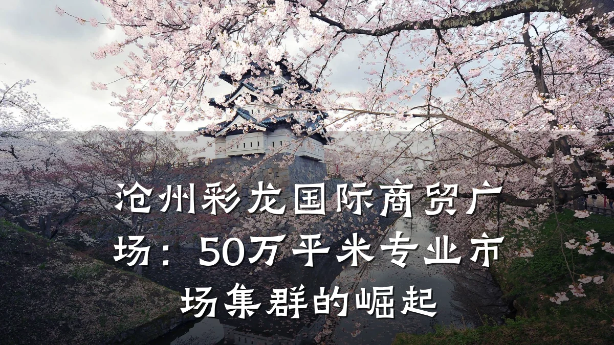 沧州彩龙国际商贸广场:50万平米专业市场集群的崛起