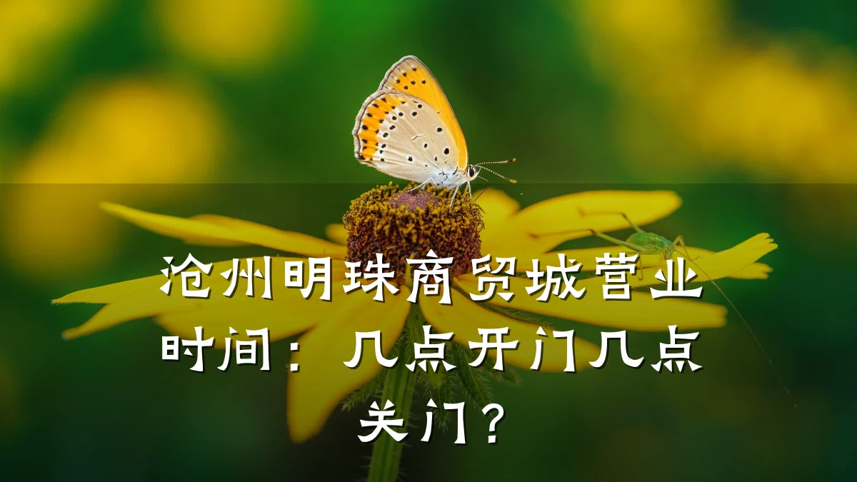 沧州明珠商贸城营业时间:几点开门几点关门?