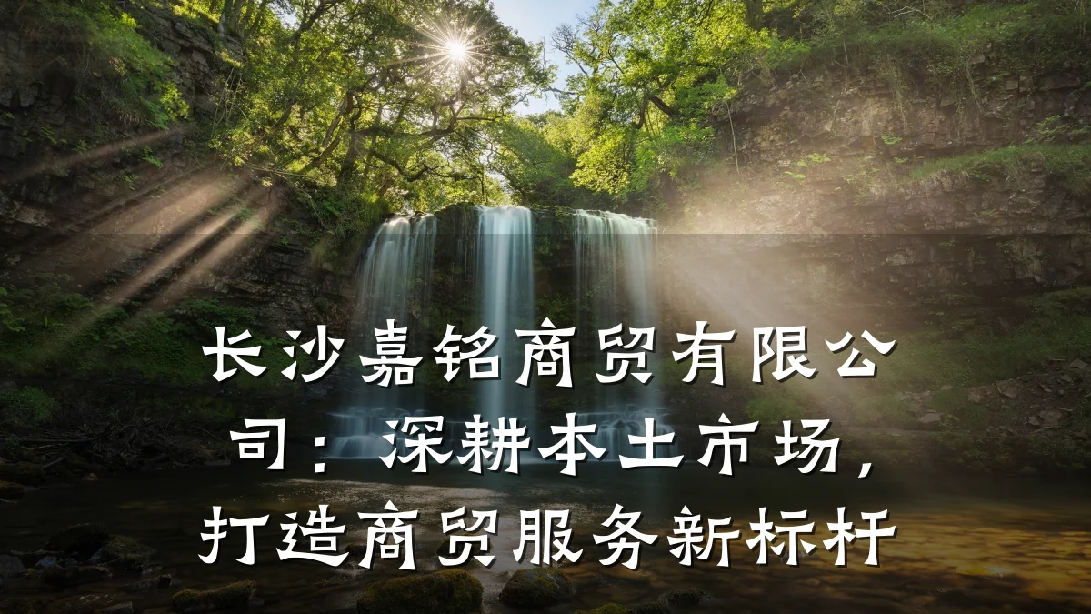 长沙嘉铭商贸有限公司:深耕本土市场,打造商贸服务新标杆