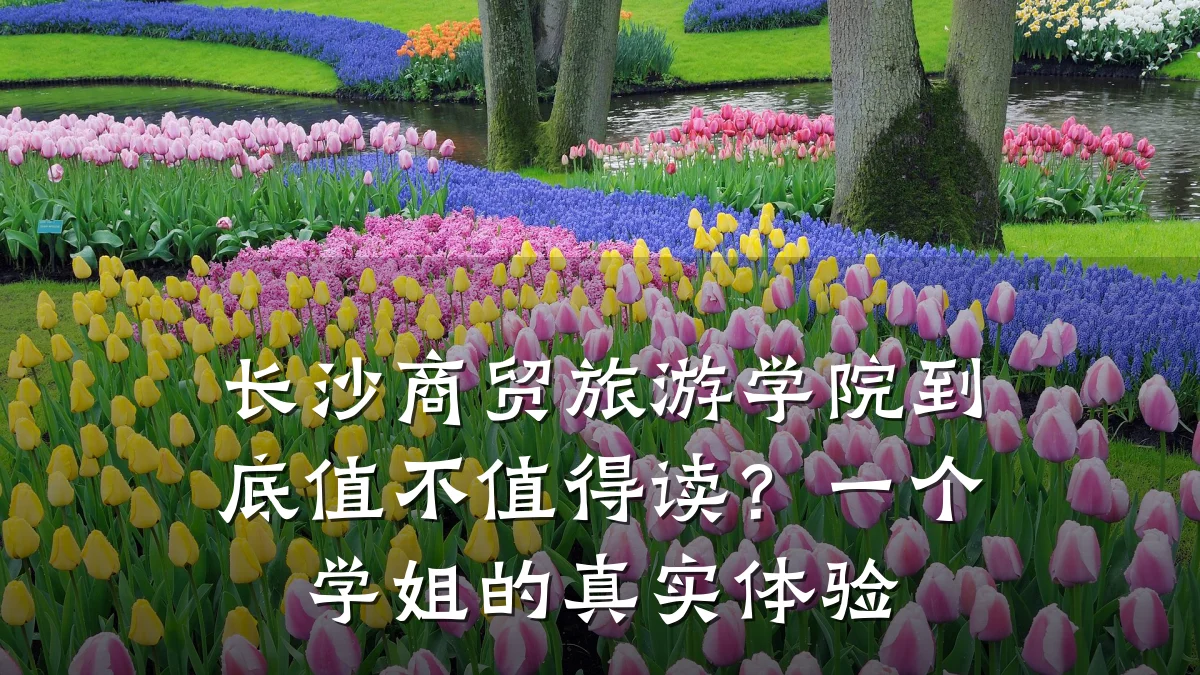 长沙商贸旅游学院到底值不值得读?一个学姐的真实体验
