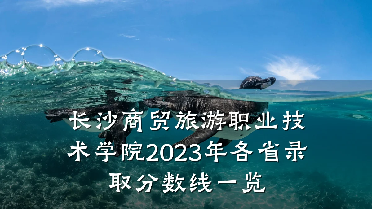长沙商贸旅游职业技术学院2023年各省录取分数线一览