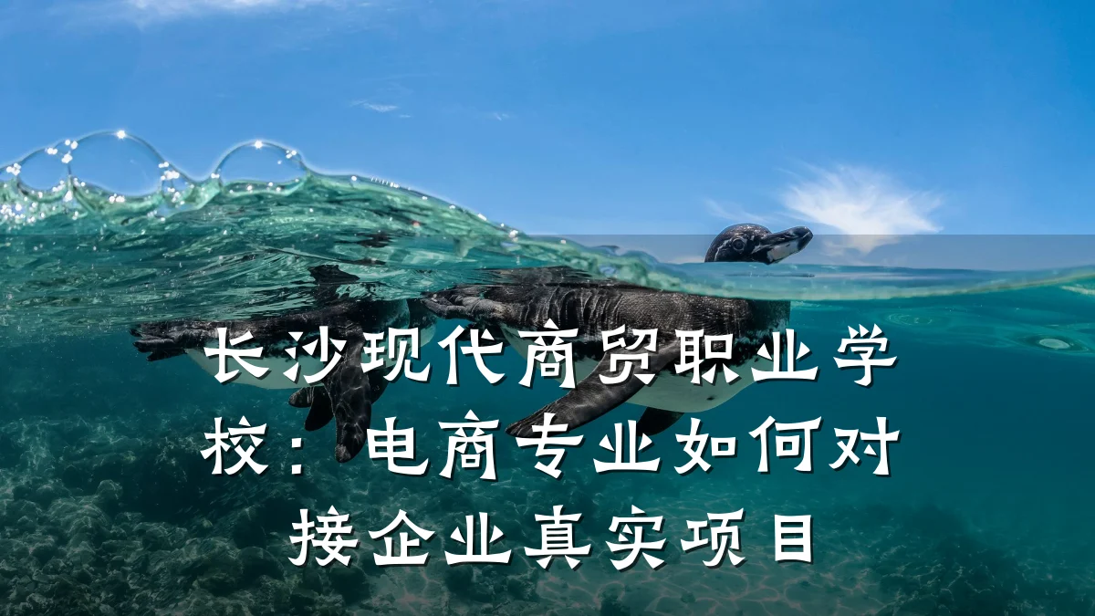 长沙现代商贸职业学校:电商专业如何对接企业真实项目