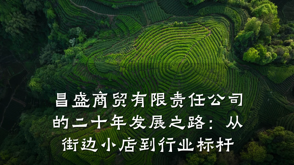 昌盛商贸有限责任公司的二十年发展之路:从街边小店到行业标杆