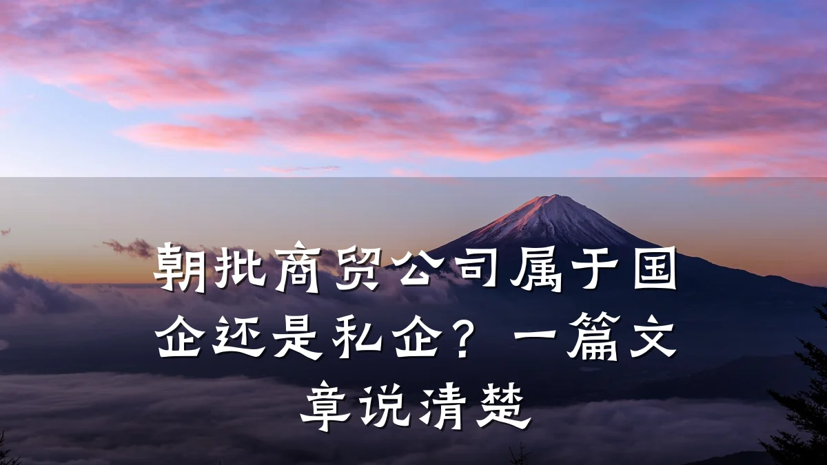 朝批商贸公司属于国企还是私企?一篇文章说清楚