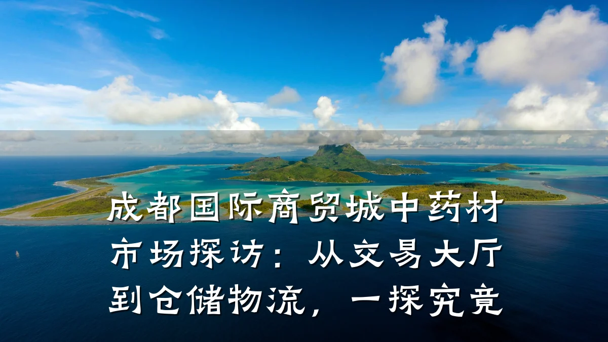成都国际商贸城中药材市场探访:从交易大厅到仓储物流,一探究竟