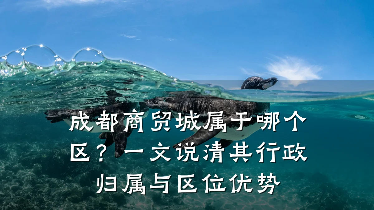 成都商贸城属于哪个区？一文说清其行政归属与区位优势