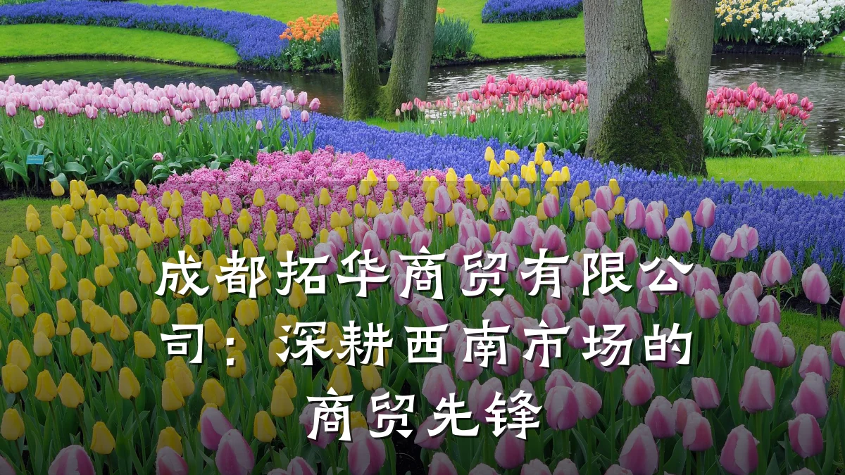 成都拓华商贸有限公司:深耕西南市场的商贸先锋