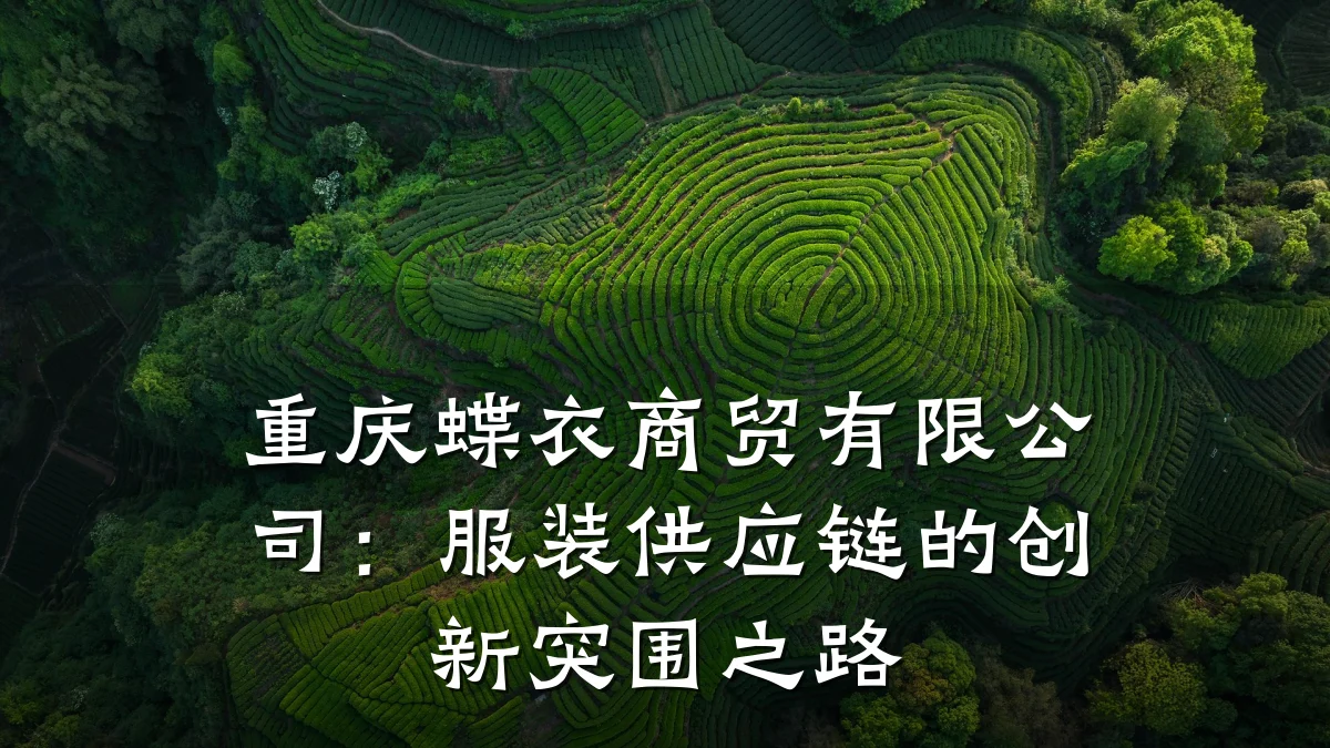 重庆蝶衣商贸有限公司：服装供应链的创新突围之路