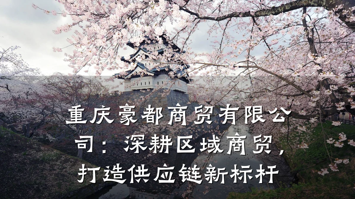 重庆豪都商贸有限公司:深耕区域商贸,打造供应链新标杆