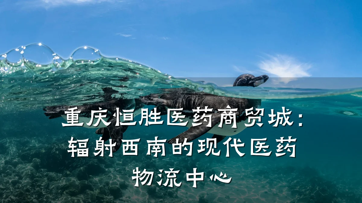 重庆恒胜医药商贸城:辐射西南的现代医药物流中心